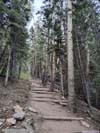 Trail