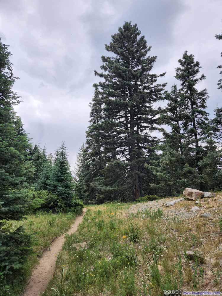 Trail