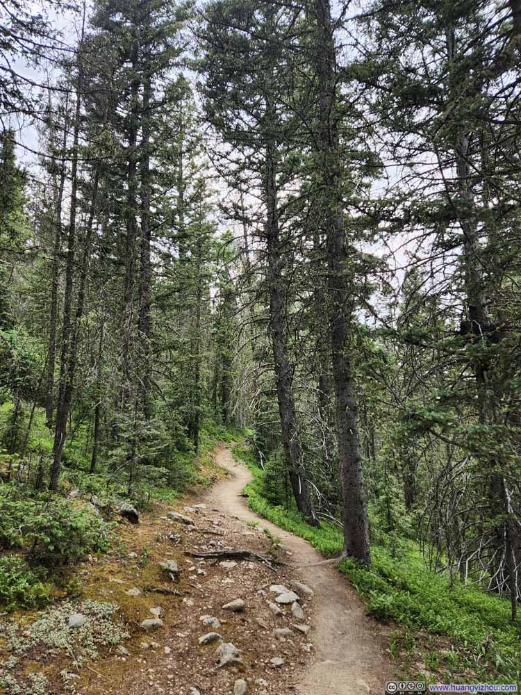Trail