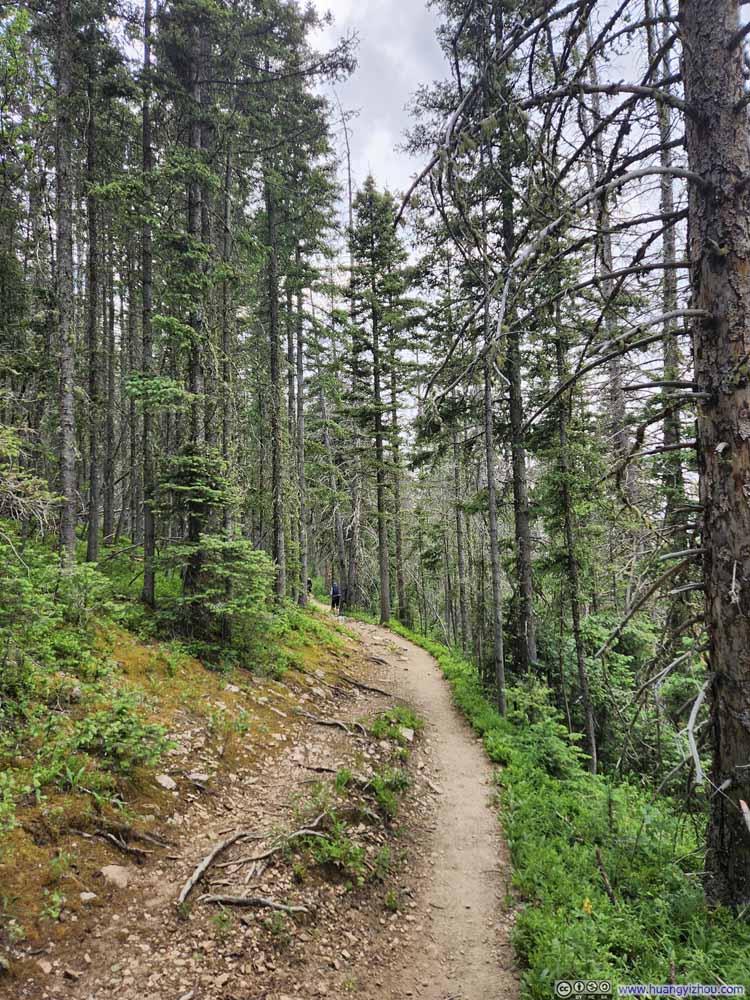 Trail