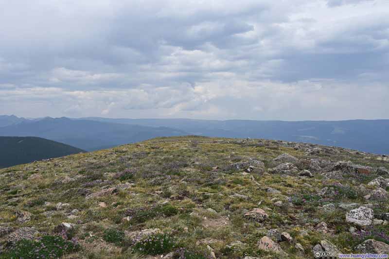 Field of Wildflowers on Penitente Peak