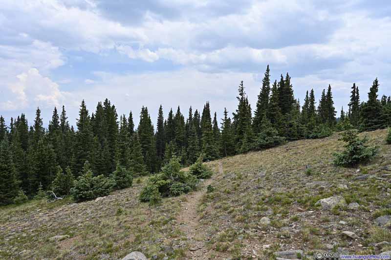 Trail