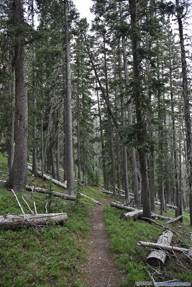 Trail