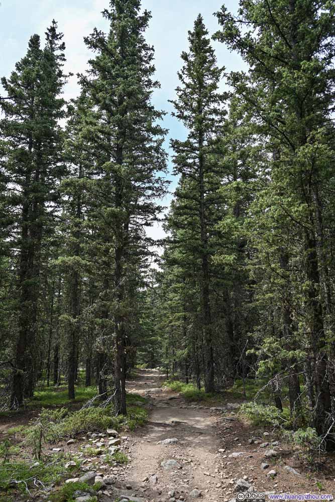 Trail