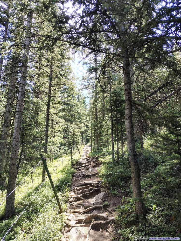 Trail