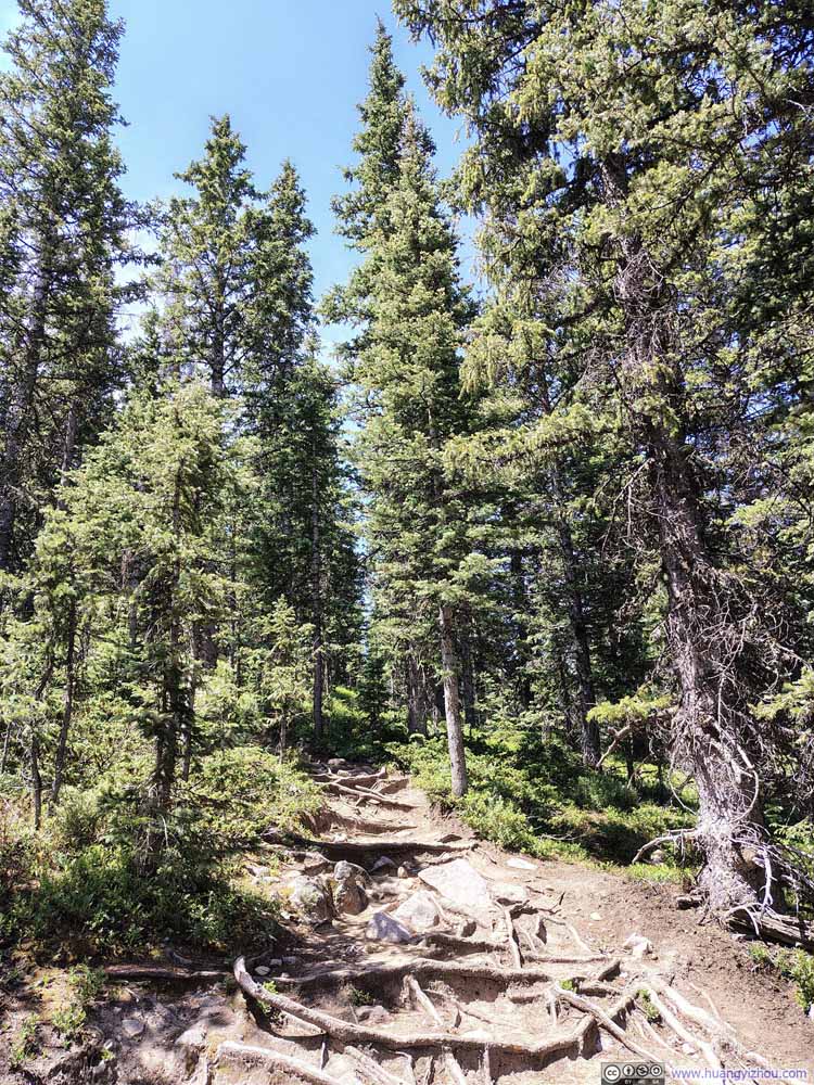 Trail