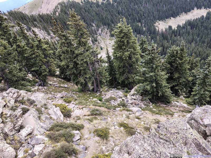 Overlooking Trail Below