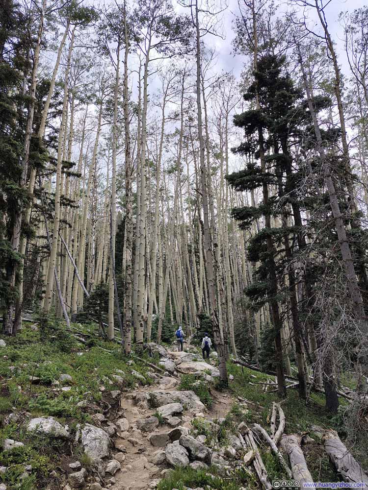 Trail