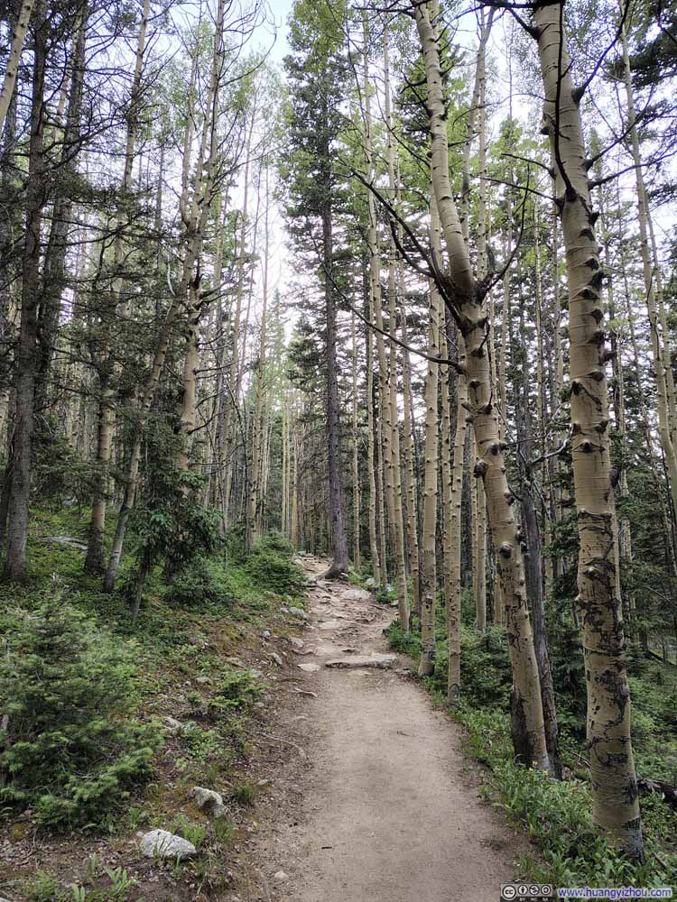 Trail