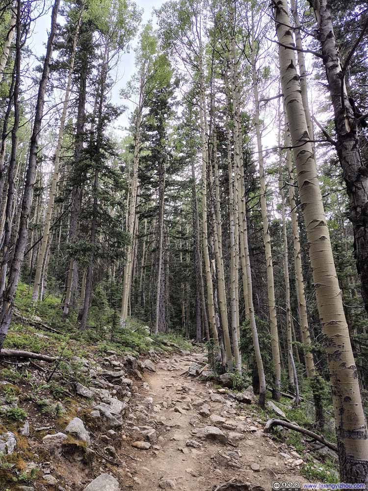Trail