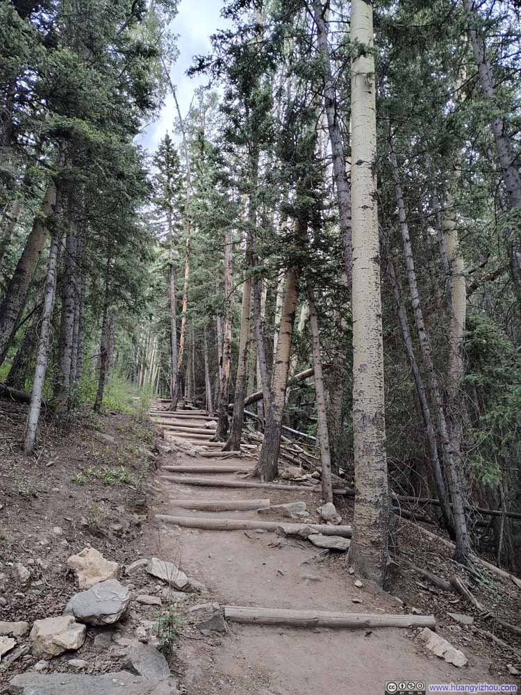 Trail
