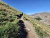 Trail