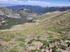 Flower-Decorated Slope of Wheeler Peak