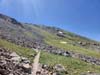 Trail to Wheeler Peak