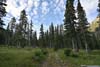 Trail