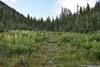 Trail