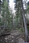 Trail