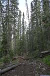 Trail
