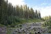 Trail along Field of Rocks