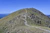 Trail to Wheeler Peak