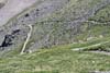 Trail from Wheeler Peak among Flowery Field