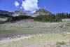 Hills around Williams Lake