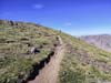 Trail to Wheeler Peak