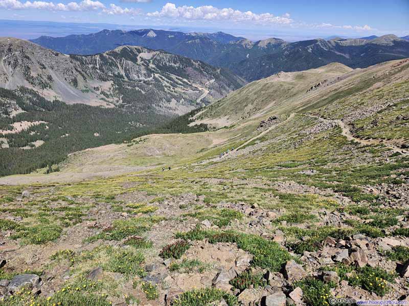 Flower-Decorated Slope of Wheeler Peak