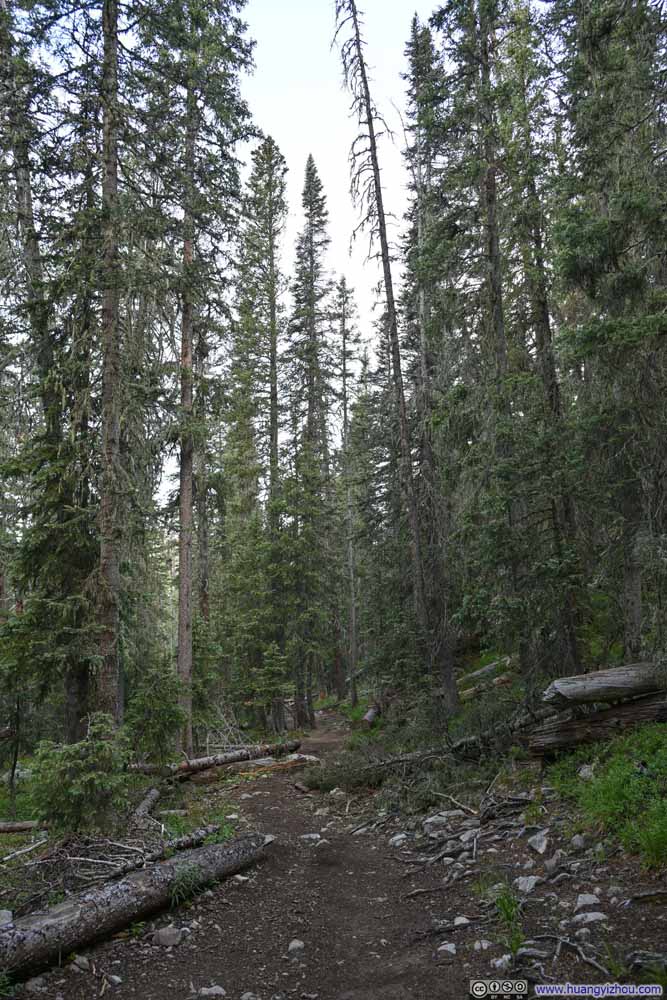 Trail
