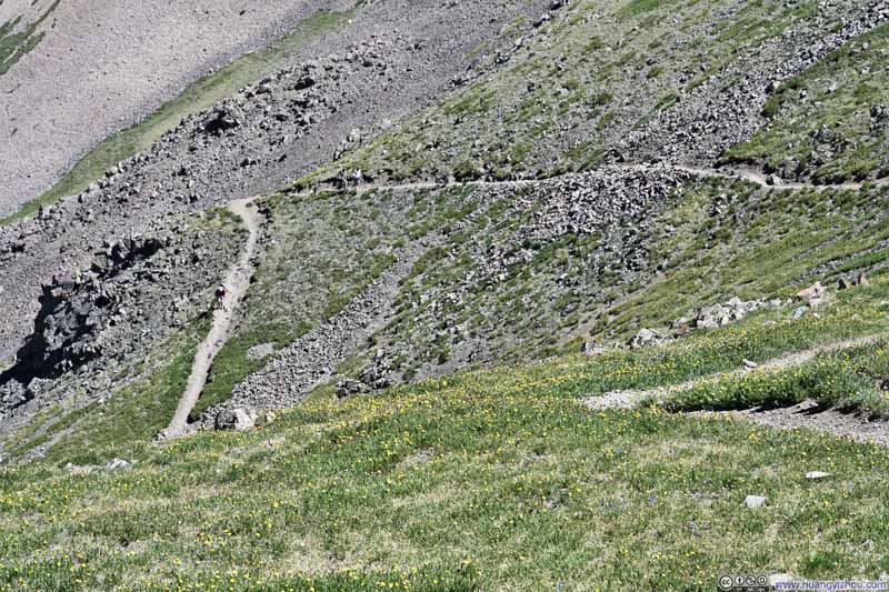 Trail from Wheeler Peak among Flowery Field