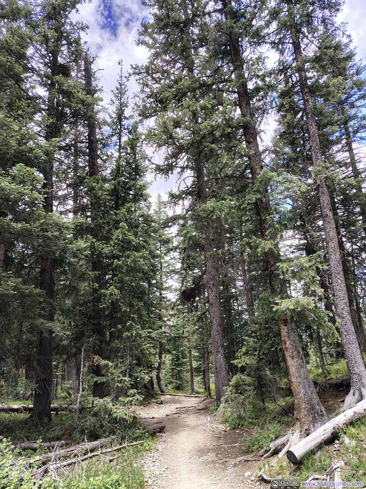 Trail