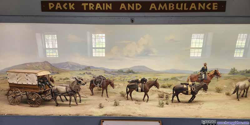 Pack Train