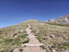 Trail