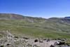 Alpine Meadow