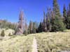 Trail