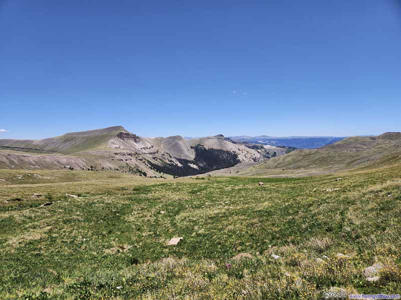 Alpine Meadow
