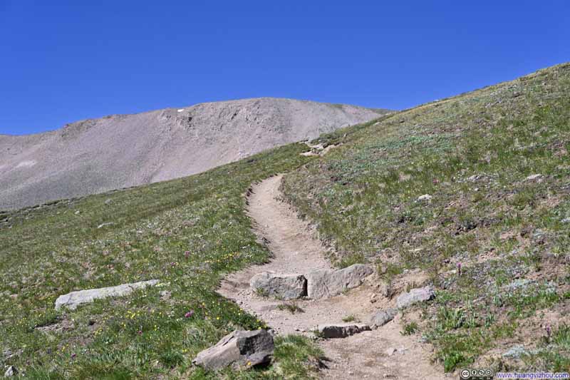 Trail