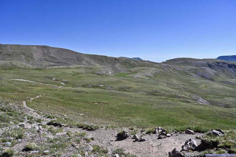 Alpine Meadow
