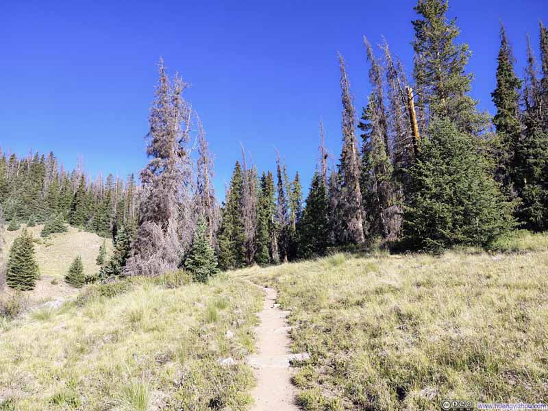 Trail