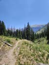Trail