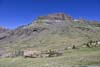 Hill