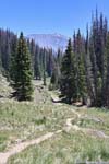 Trail