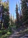 Trail