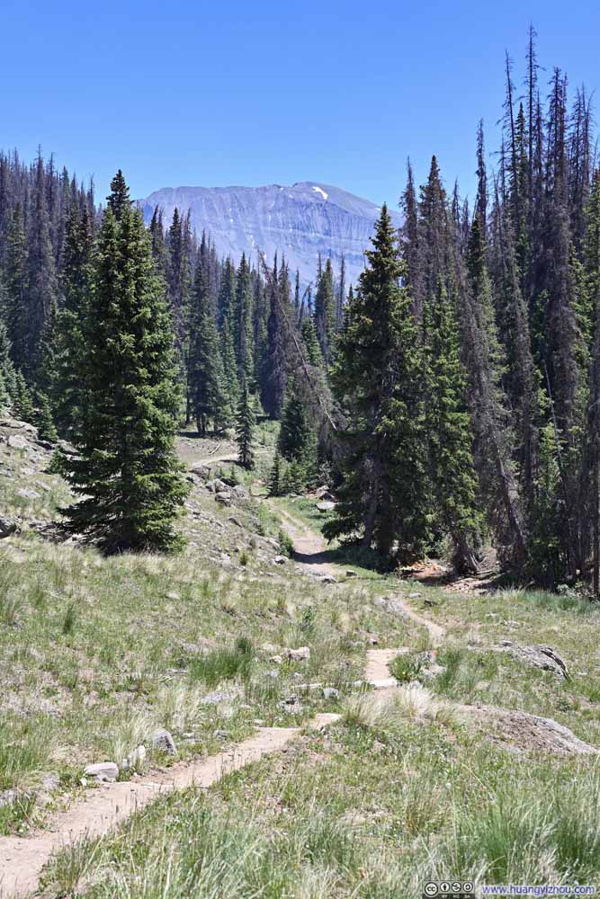 Trail