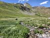 Trail Crossing Lake Fork Gunnison River