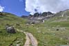 Trail