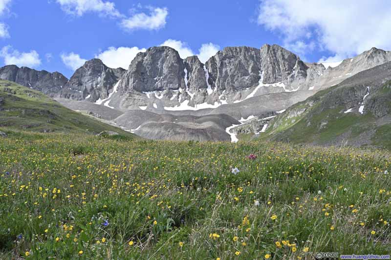 American Peak over Wildflower Field