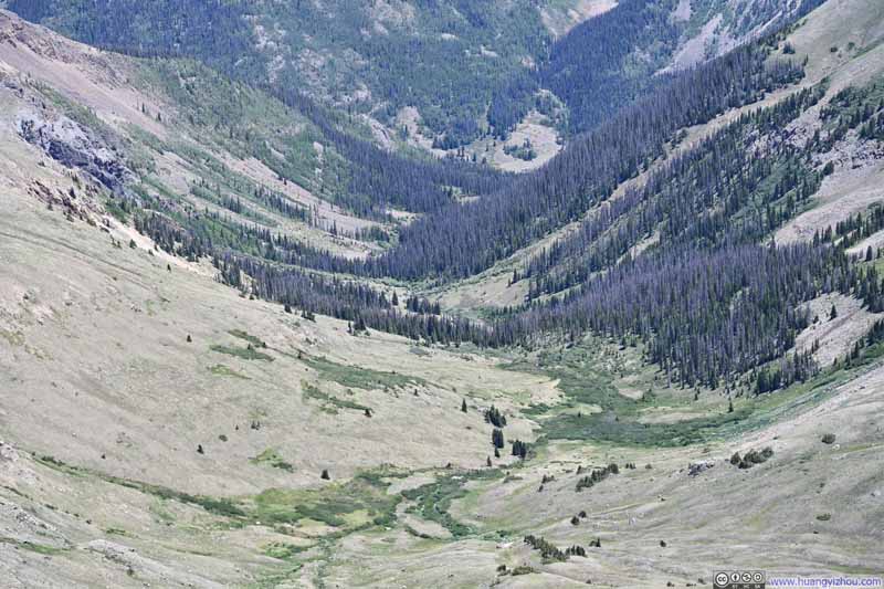 Upper Grizzly Gulch