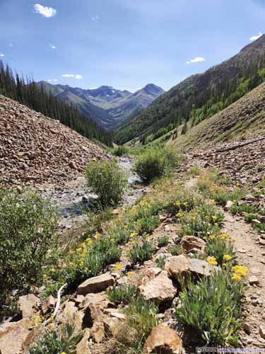 Trail and Flowers along Silver Creek