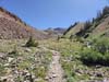 Trail